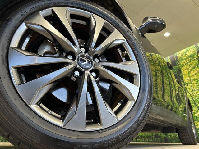 LEXUS UX250h