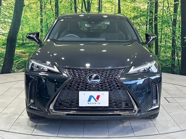 LEXUS UX250h
