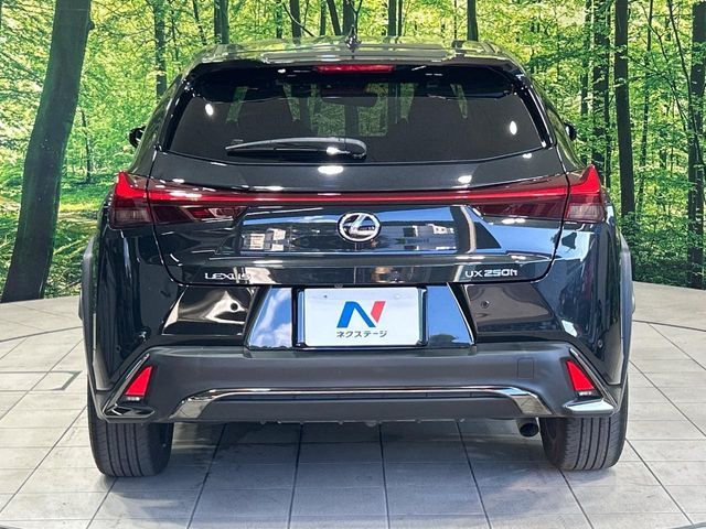 LEXUS UX250h