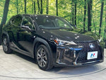 LEXUS UX250h