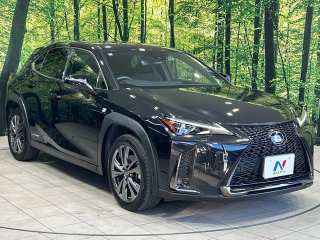 LEXUS UX250h