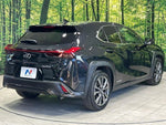 LEXUS UX250h