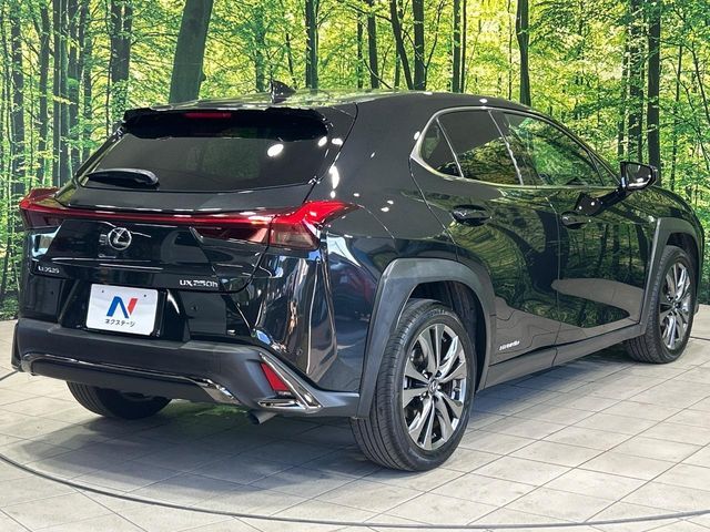 LEXUS UX250h