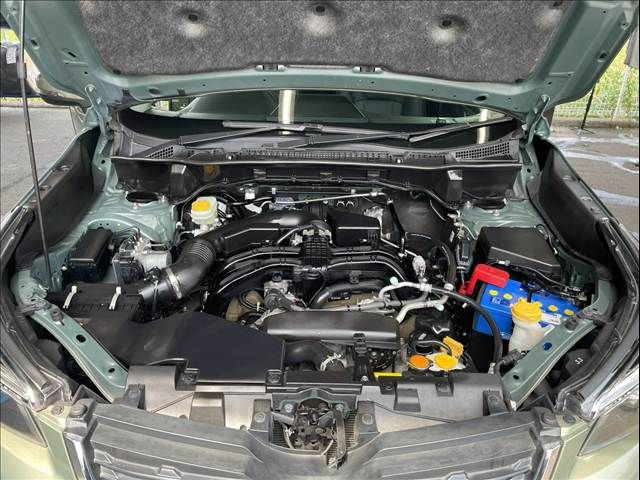 FORESTER