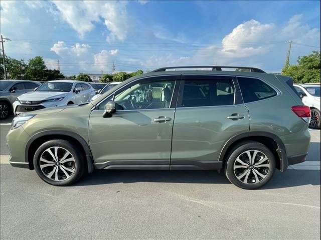 FORESTER