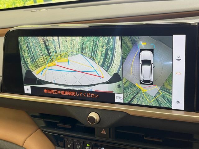 CROWN SPORT