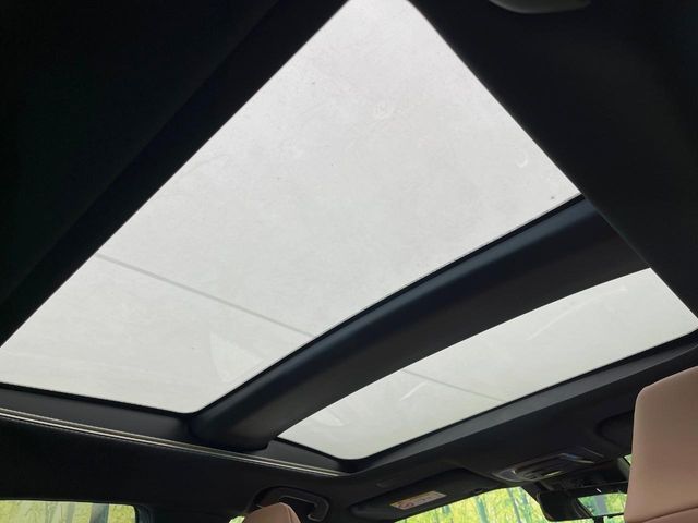 CROWN SPORT
