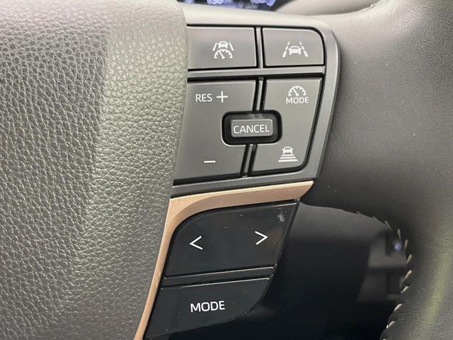 CROWN SPORT