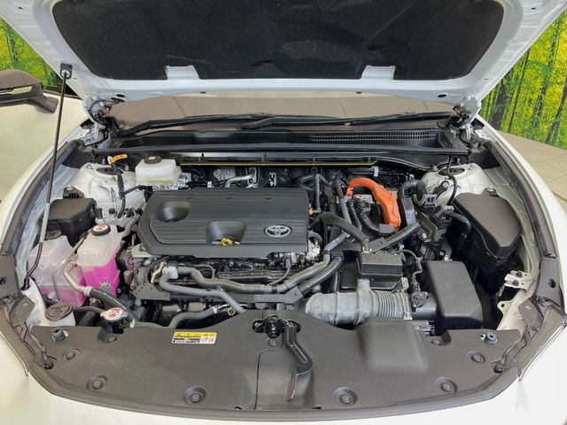 CROWN SPORT