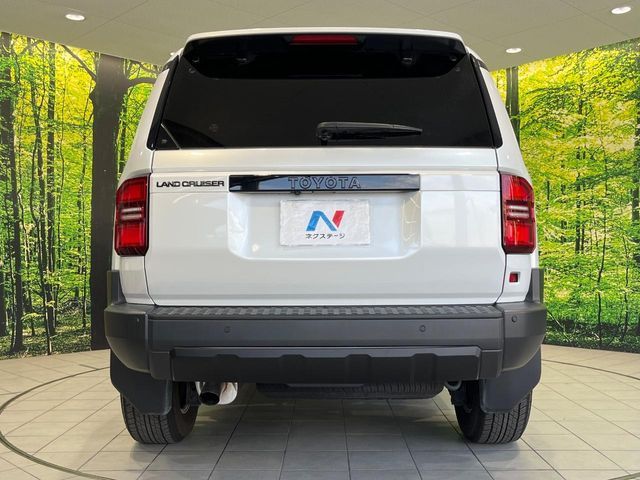 LANDCRUISER 250