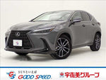LEXUS NX450h+ AWD
