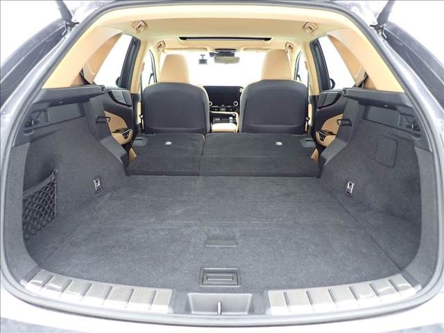 LEXUS NX450h+ AWD