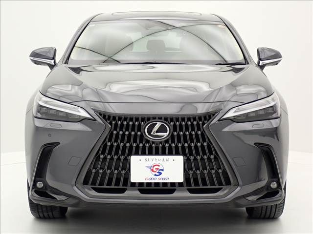 LEXUS NX450h+ AWD