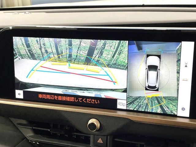 CROWN SPORT
