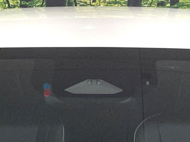 CROWN SPORT