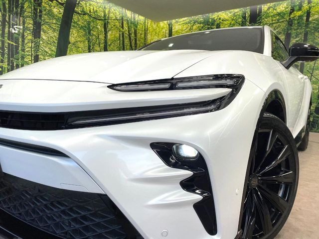 CROWN SPORT