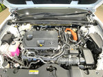 CROWN SPORT