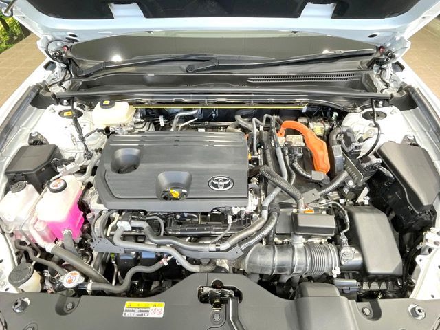 CROWN SPORT