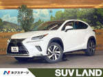 LEXUS NX300