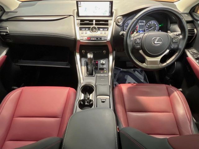 LEXUS NX300