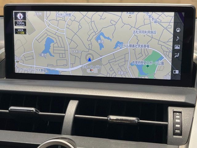LEXUS NX300
