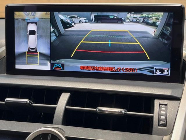 LEXUS NX300