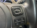 LEXUS NX300