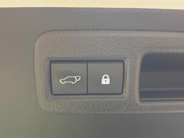 LEXUS NX300