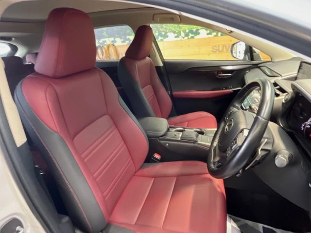 LEXUS NX300