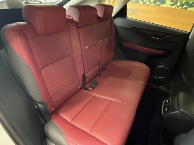 LEXUS NX300