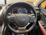 LEXUS NX300