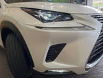 LEXUS NX300