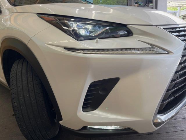 LEXUS NX300