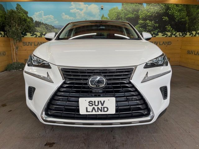 LEXUS NX300