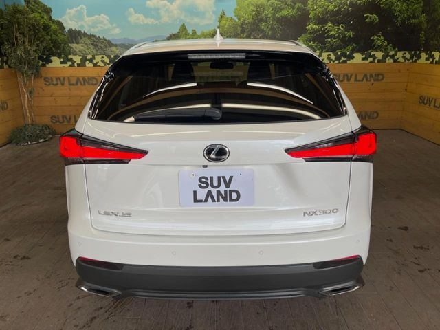 LEXUS NX300