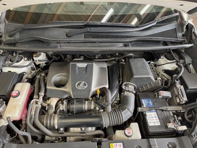 LEXUS NX300