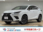 LEXUS NX300