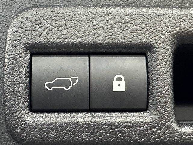 LEXUS NX300