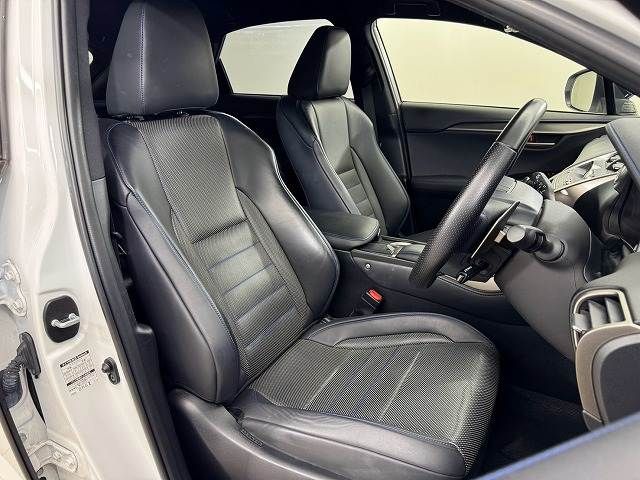 LEXUS NX300