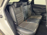 LEXUS NX300