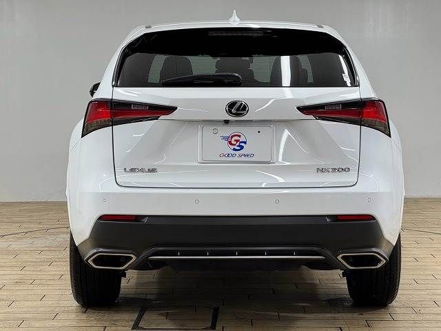 LEXUS NX300