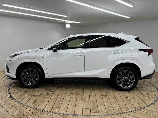 LEXUS NX300