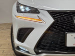 LEXUS NX300