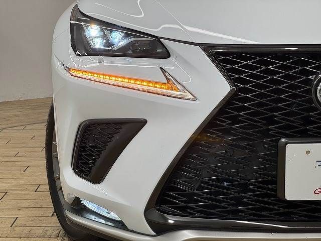 LEXUS NX300