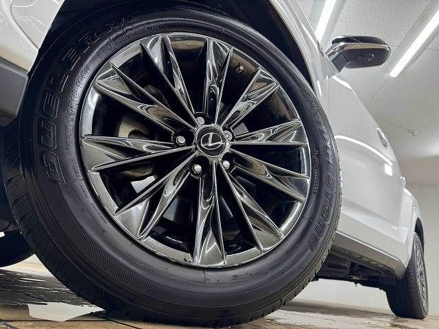 LEXUS NX300