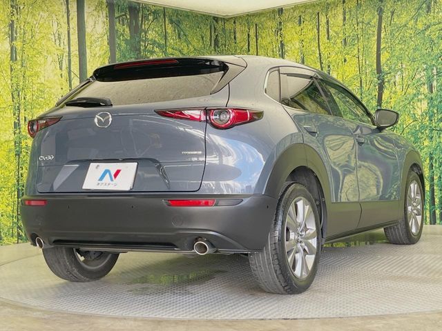 CX-30