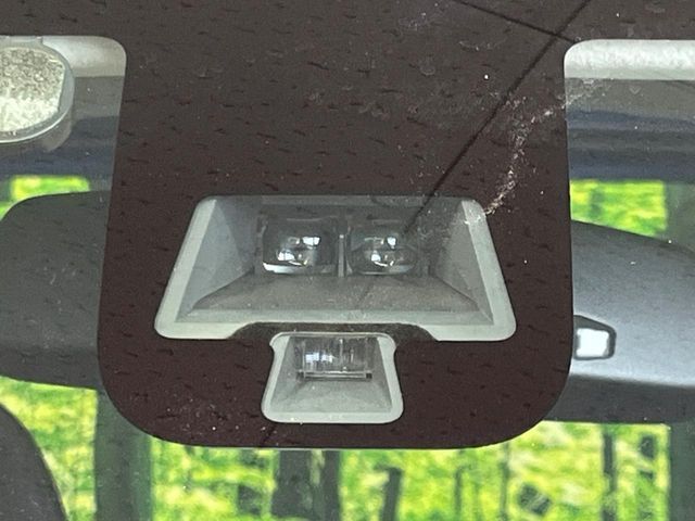 DAYZ ROOX 4WD