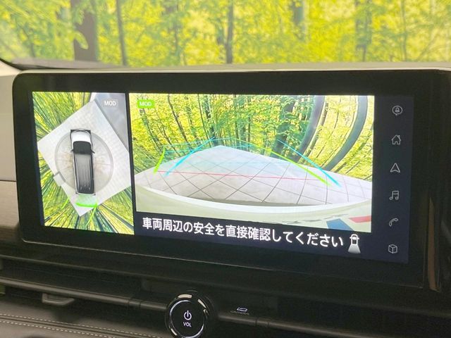SERENA  WG