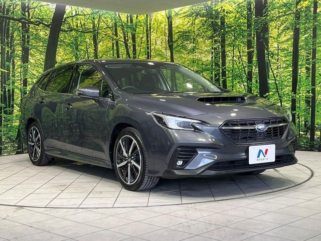 LEVORG