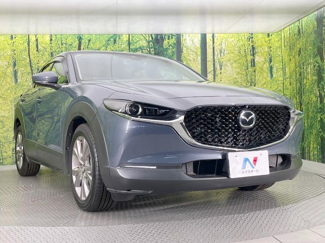 CX-30
